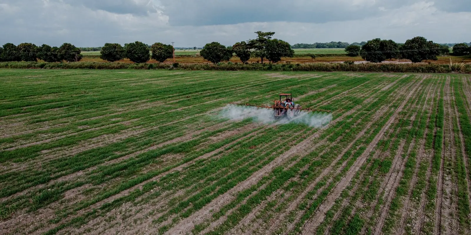 Vista aérea de un tractor pulverizando un cultivo en un campo